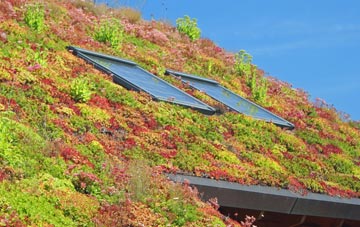 Shepherds Hill living roof systems